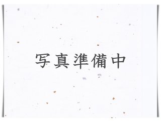 ロッド]ブリーデン Squid wicked game BG66B/kensaki（エギングロッド