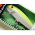 画像1: ラパラ CD07：SFC Silver Fl Chart.【BY-A】【ネコポス配送可】 (1)