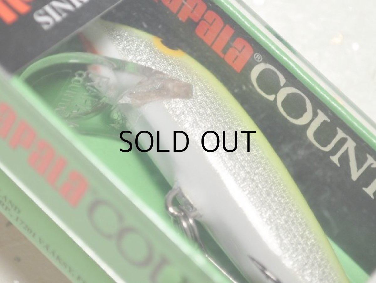 画像3: ラパラ CD07：SFC Silver Fl Chart.【BY-A】【ネコポス配送可】 (3)