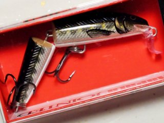 ラパラ CDJ09：HMMD Hot Mustard Muddler（ジャパンスペシャル