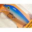 画像1: ラパラ SCRCD07：B Silver Blue【BY-A】【ネコポス配送可】 (1)