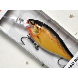 ラパラ SRE55 シャッドラップエリート55：GDGS Gilded Gold Shad【ネコポス配送可】