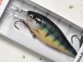 ラパラ SRE55 シャッドラップエリート55：GDP Gilded Perch【ネコポス配送可】