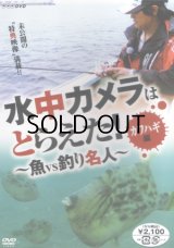 [DVD]NHK 水中カメラはとらえた！〜魚vs釣り名人〜 カワハギ編【ネコポス配送可】