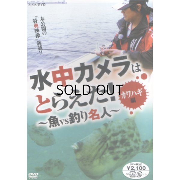 画像1: [DVD]NHK 水中カメラはとらえた！〜魚vs釣り名人〜 カワハギ編【ネコポス配送可】