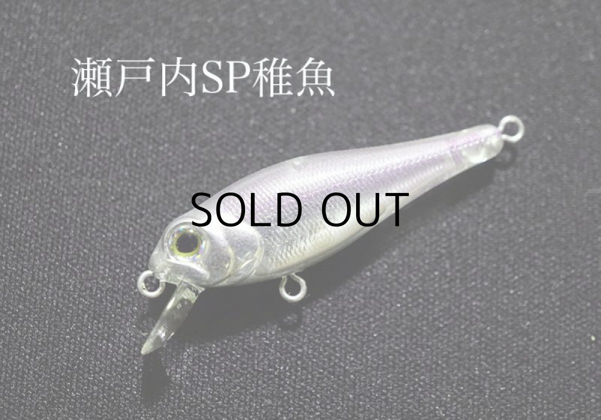 画像1: インクスレーベル ジェイドINXカスタム サスペンドモデル：瀬戸内SP稚魚【ネコポス配送可】 (1)