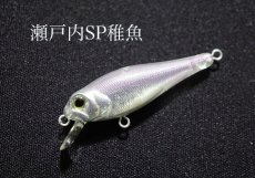 画像1: インクスレーベル ジェイドINXカスタム サスペンドモデル：瀬戸内SP稚魚【ネコポス配送可】 (1)