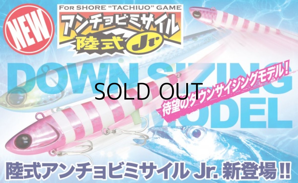 画像2: ジャッカル 陸式アンチョビミサイルJr.21g：グローバッグ/ケイムラクリアー【ネコポス配送可】 (2)