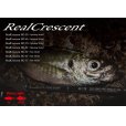 画像1: [ロッド]リップルフィッシャー Real Crescent RC-75■ネコポス対象外■ (1)