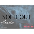 [ロッド]リップルフィッシャー Avarice103M Nano■ネコポス対象外■