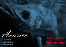 画像1: [ロッド]リップルフィッシャー Avarice110H Nano■ネコポス対象外■ (1)