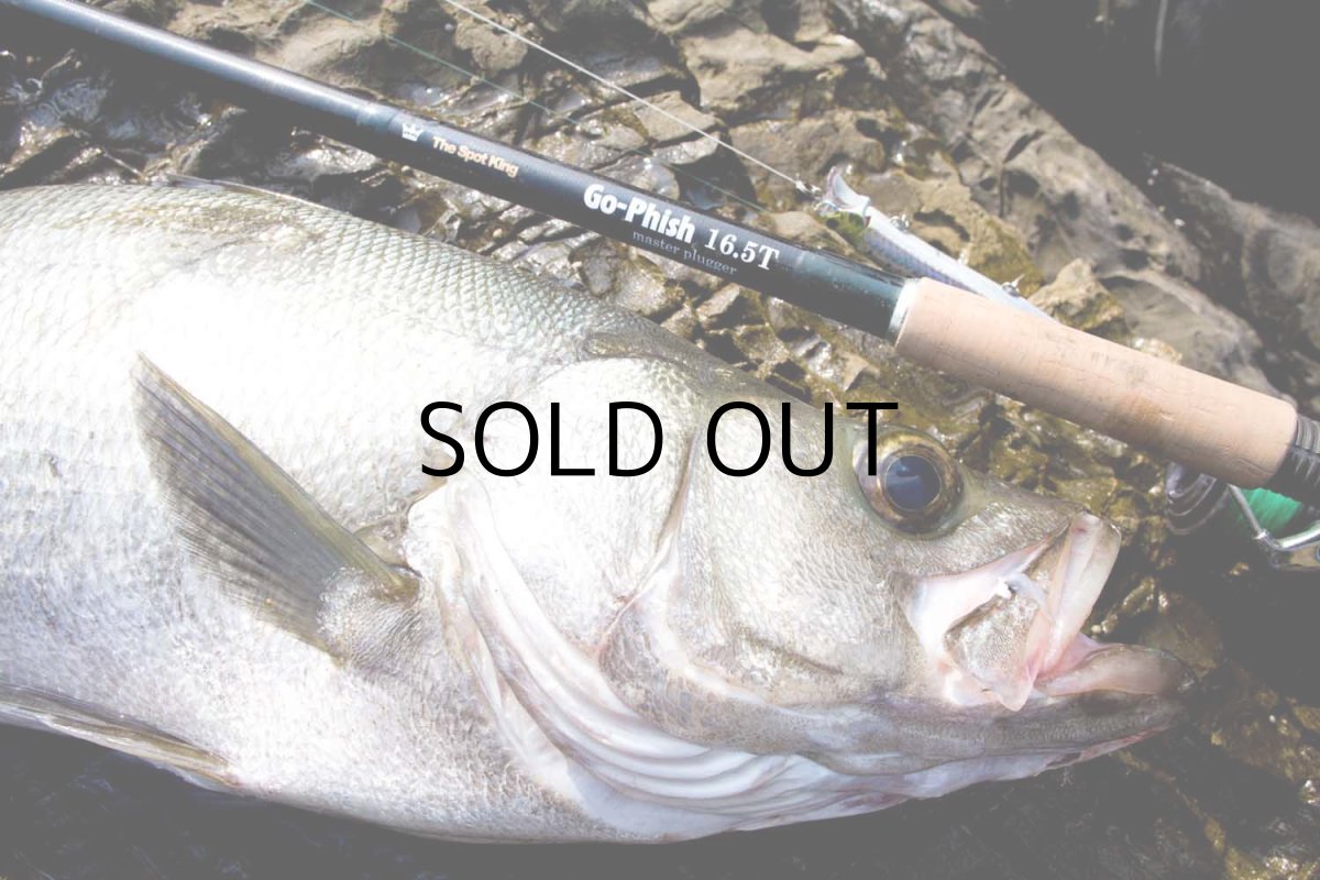 画像4: [ロッド]Go-Phish ゴーフィッシュ TheSpotKing“master plugger” 16.5T（スピニングロッド）■ネコポス対象外■ (4)