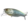 deps デプス バズジェット：2021 LIMITED COLOR リアルケタバス■ネコポス対象外■