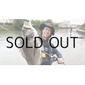[ロッド]フィッシュマン Fishman Beams LOWER7.3L■ネコポス対象外■