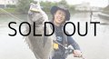 [ロッド]フィッシュマン Fishman Beams LOWER7.3L■ネコポス対象外■