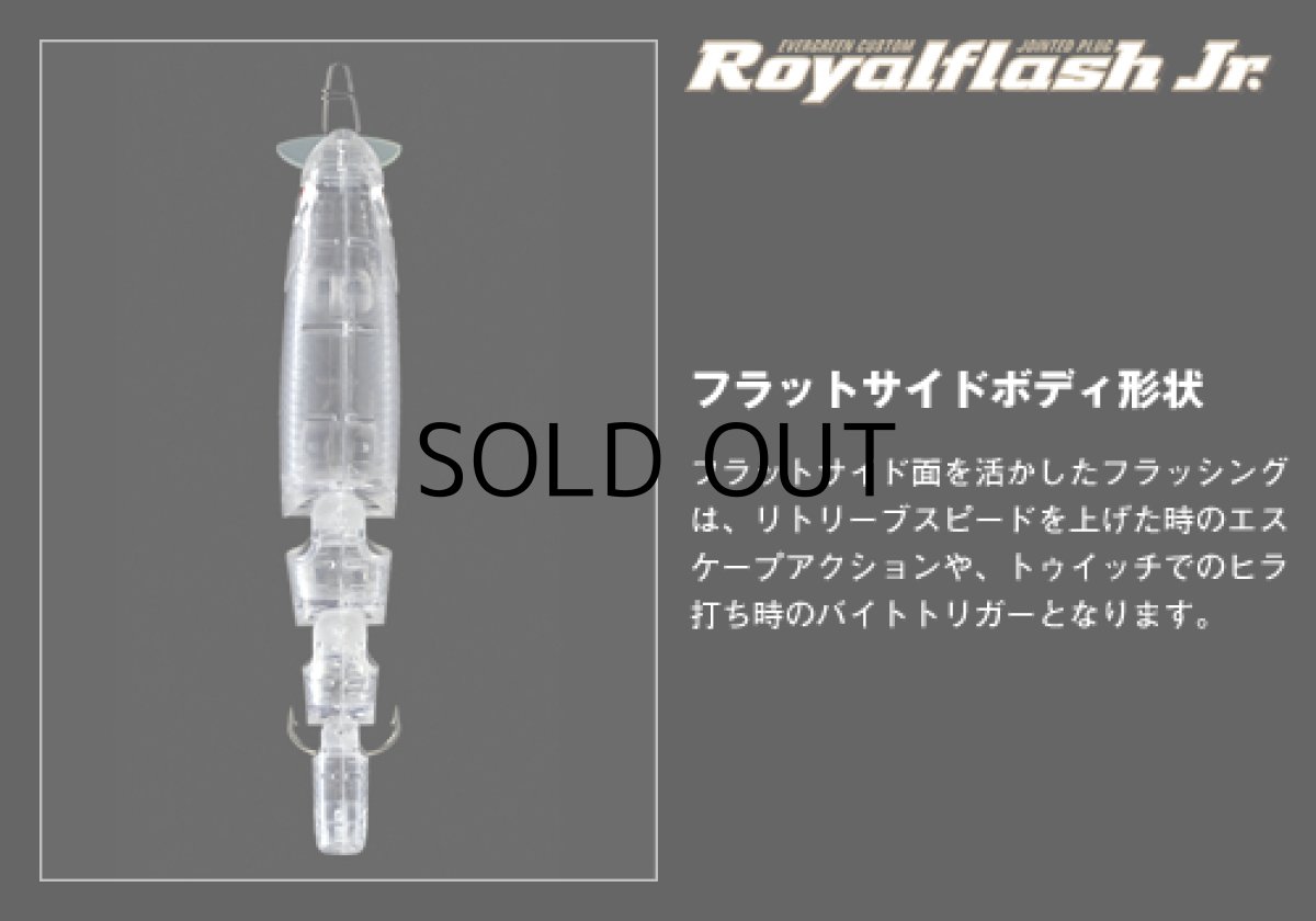 画像4: エバーグリーン ロイヤルフラッシュJr.：＃602 ビッグバイトチャート■ネコポス対象外■ (4)