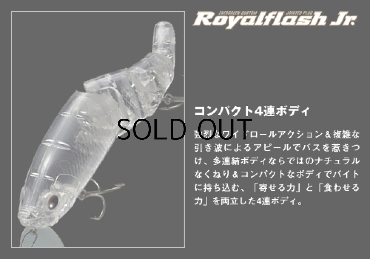 画像3: エバーグリーン ロイヤルフラッシュJr.：＃602 ビッグバイトチャート■ネコポス対象外■ (3)
