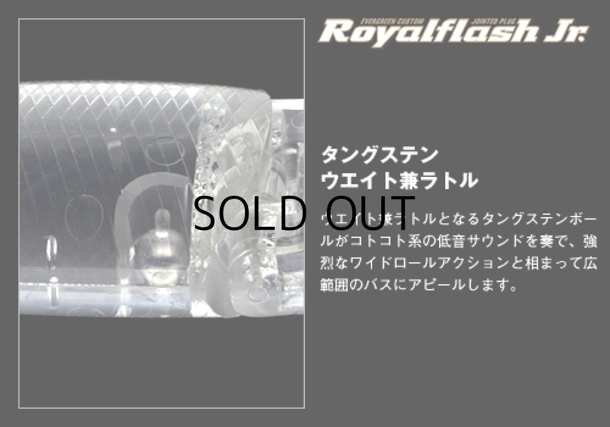 画像5: エバーグリーン ロイヤルフラッシュJr.：＃602 ビッグバイトチャート■ネコポス対象外■ (5)