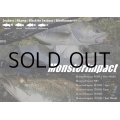 [ロッド]リップルフィッシャー MonsterImpact 113HH ■ネコポス対象外■
