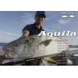 画像1: [ロッド]リップルフィッシャー Aquila MST 82-9＋■ネコポス対象外■ (1)