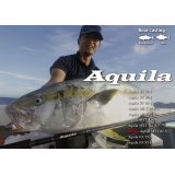 [ロッド]リップルフィッシャー Aquila MST 82-9＋■ネコポス対象外■