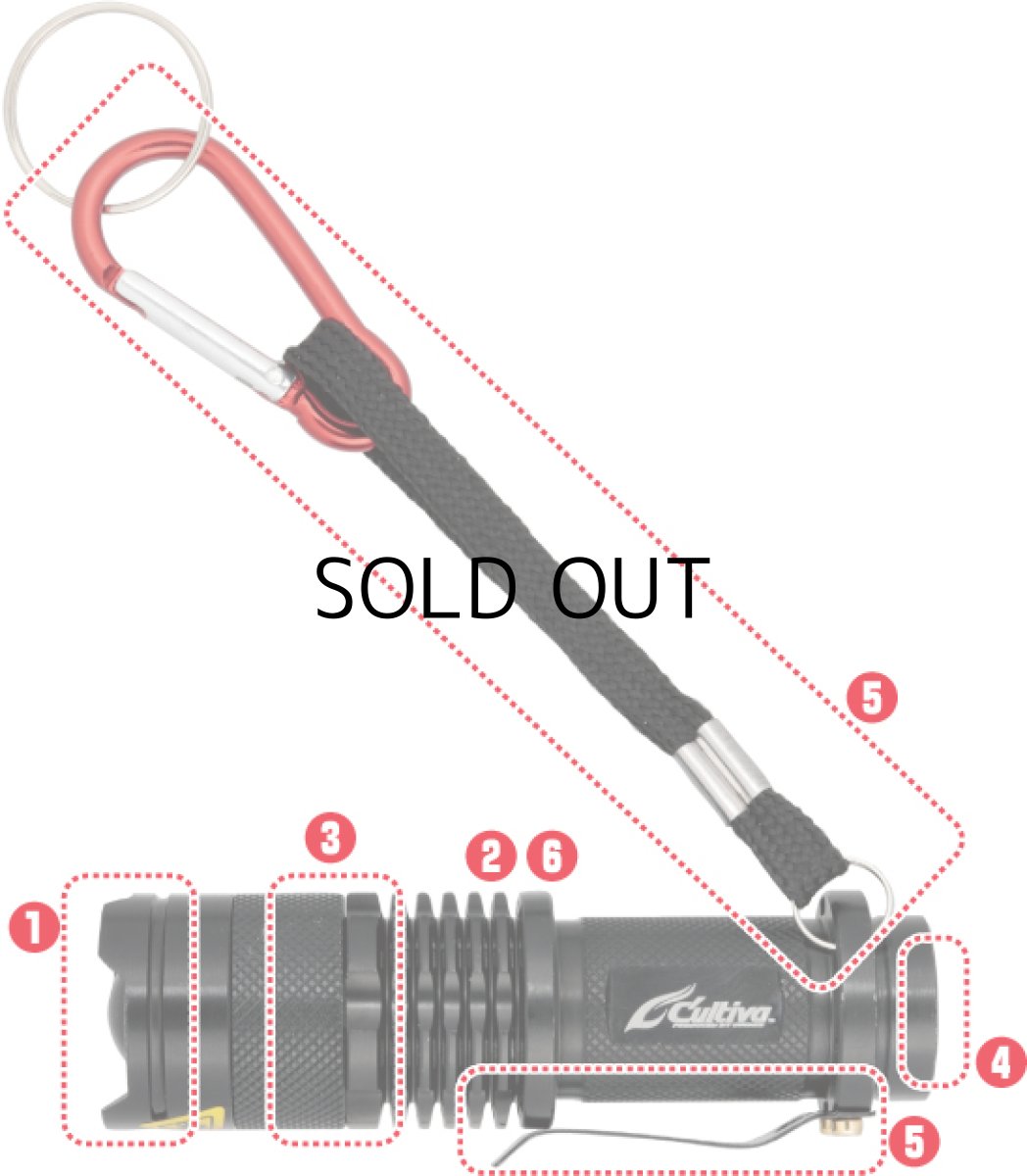 画像2: オーナーばり カルティバ FT-81 最強UVライト■ネコポス対象外■ (2)