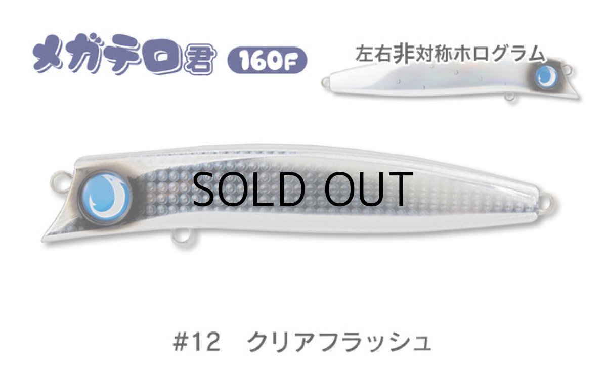 画像1: ジャンプライズ メガテロ君160F：＃12 クリアフラッシュ■ネコポス対象外■ (1)