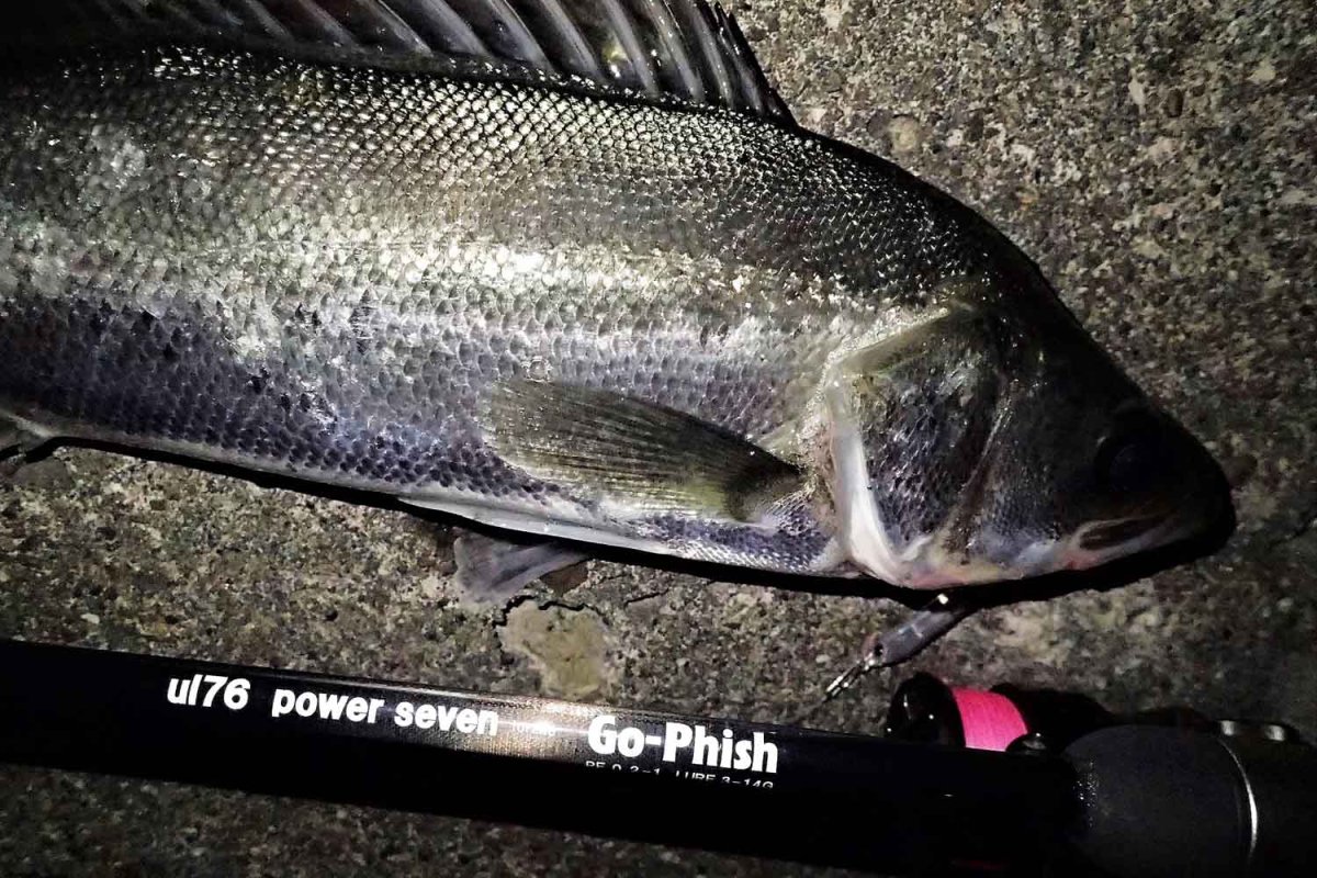 画像5: [ロッド]Go-Phish ゴーフィッシュ ul-76 P2 torzite（スピニングロッド）■ネコポス対象外■ (5)