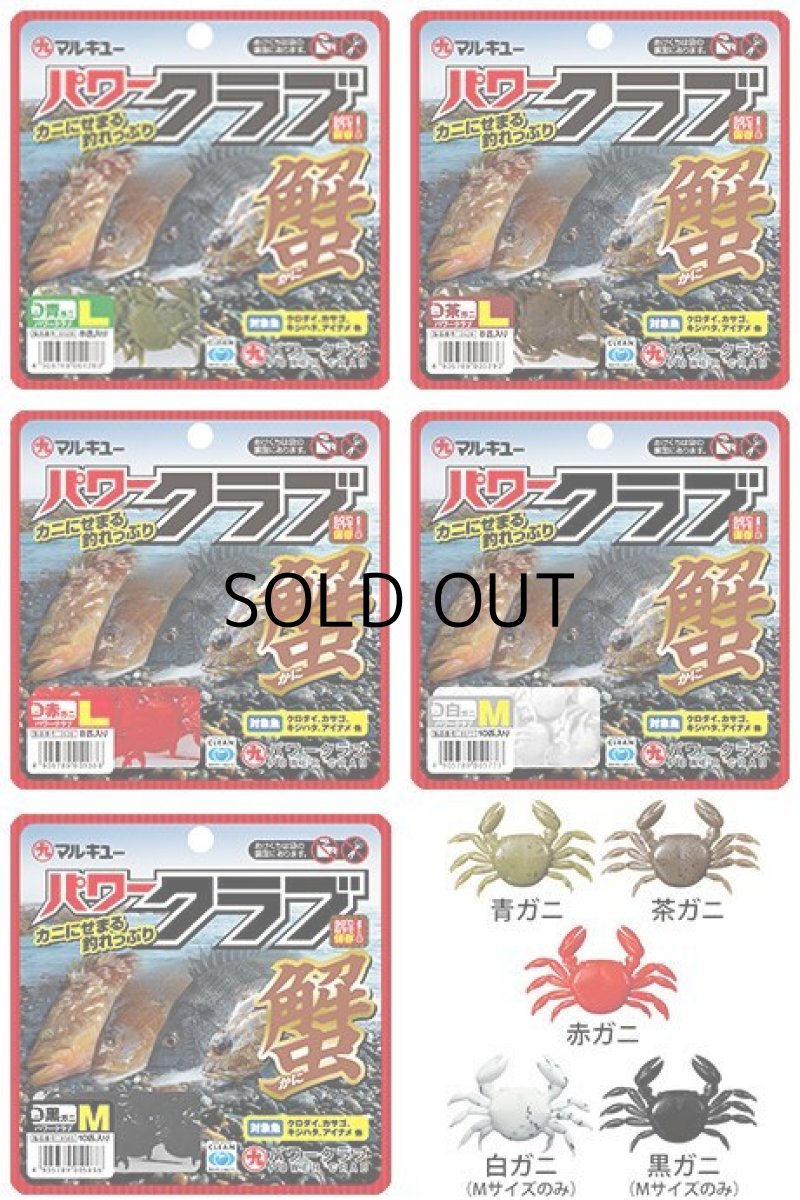 画像1: マルキュー パワークラブL：茶ガニ【ネコポス配送可】 (1)