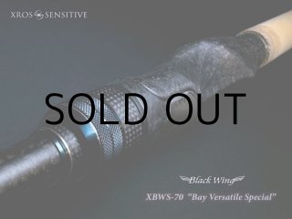 ロッド]ジーテック G-TEC XrosSensitive BlackWing XBWC-67 The