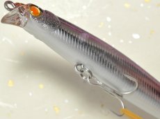画像3: マングローブスタジオ サルディナ107F：HM-1 カタクチイワシ（ハーフミラー）■ネコポス対象外■ (3)