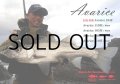 [ロッド]リップルフィッシャー Avarice104F■ネコポス対象外■