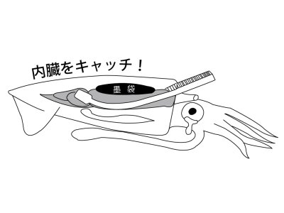 画像2: がまかつ イカ墨フォーセップ22cm LE135【ネコポス配送可】