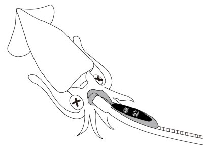 画像3: がまかつ イカ墨フォーセップ22cm LE135【ネコポス配送可】