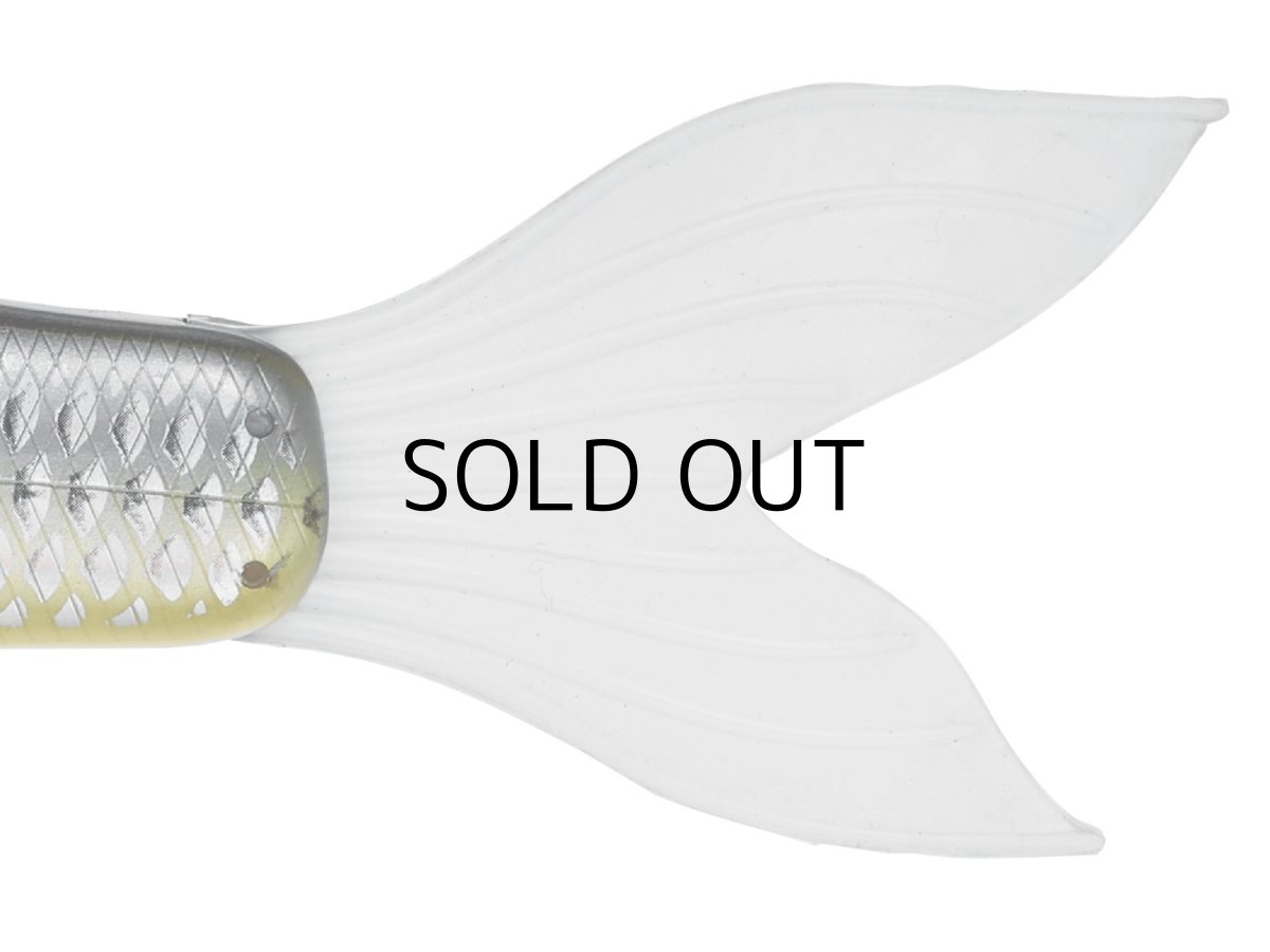 画像3: がまかつ ラフィン250：#4 シースルーチャートバック■ネコポス対象外■ (3)