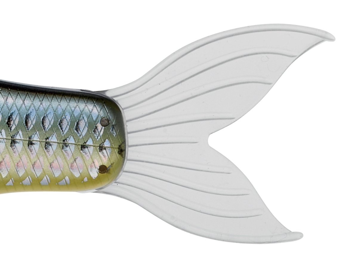 画像2: がまかつ ラフィン250：#3 アメリカンシャッド■ネコポス対象外■ (2)