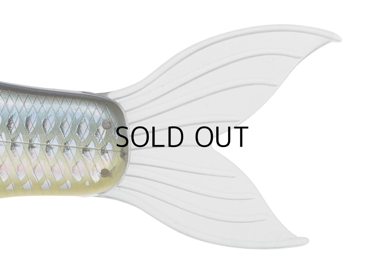 画像2: がまかつ ラフィン250：#4 シースルーチャートバック■ネコポス対象外■ (2)