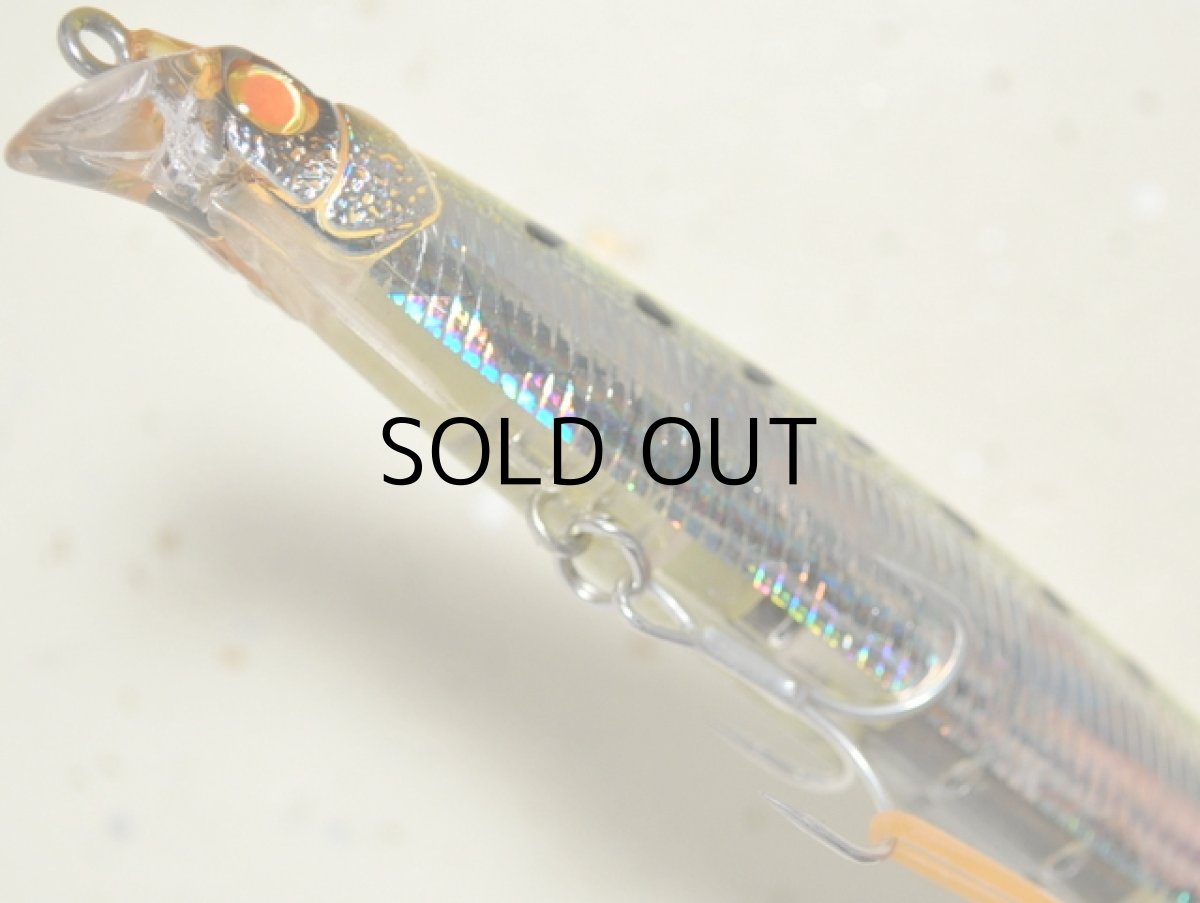 画像3: マングローブスタジオ サルディナ127F:CH-2C クリアチャートバックマイワシ(クラッシュホロ)■ネコポス対象外■ (3)