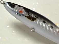 画像3: ファビュラス ボア120：マイワシ■ネコポス対象外■ (3)