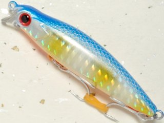 マングローブスタジオ サルディナ127F：BH-9 チャートバック（ボーダー