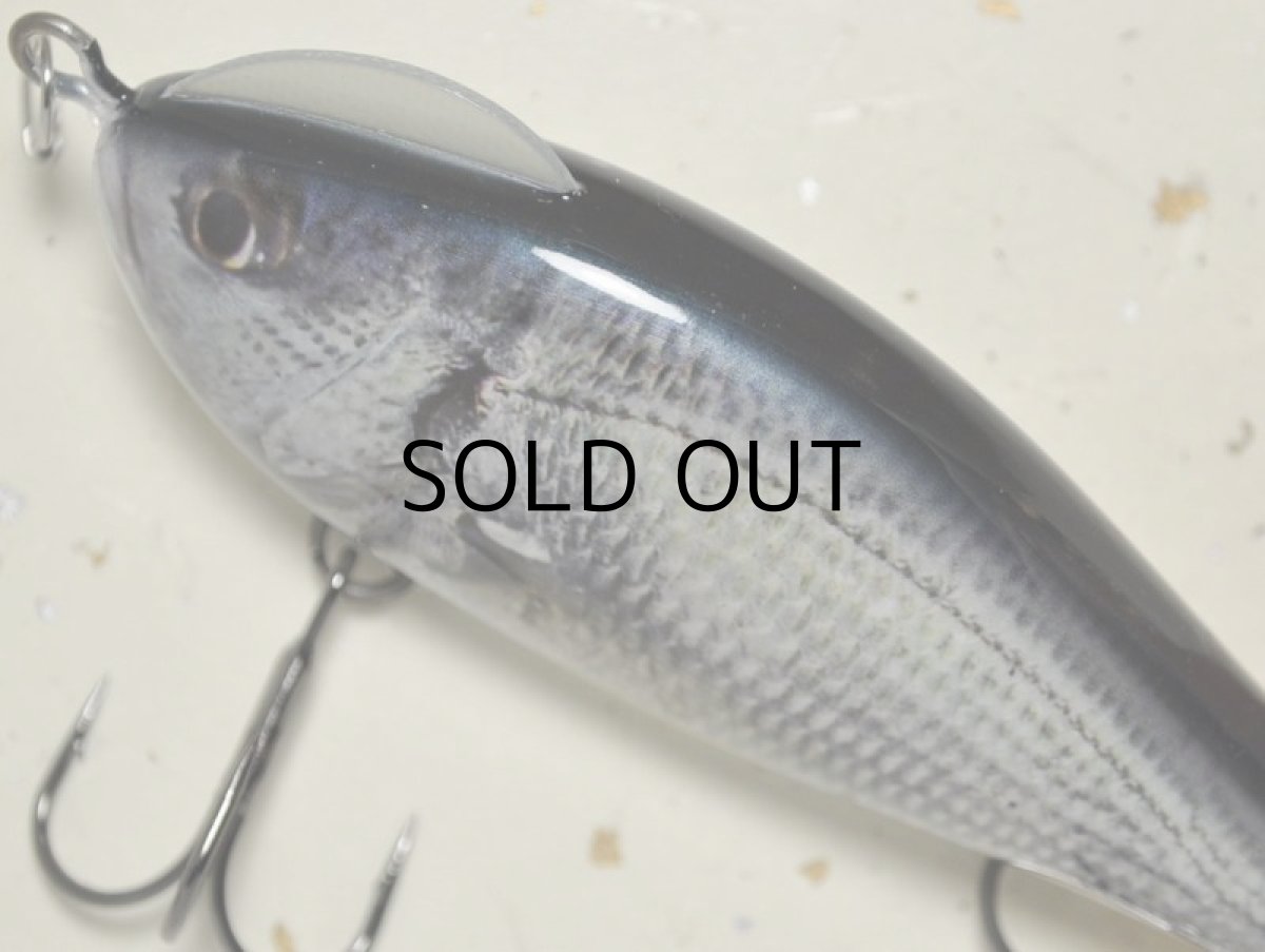 画像2: コーモラン ビバ マッジー スライドボマー:#250N LIVEキビレ■ネコポス対象外■ (2)