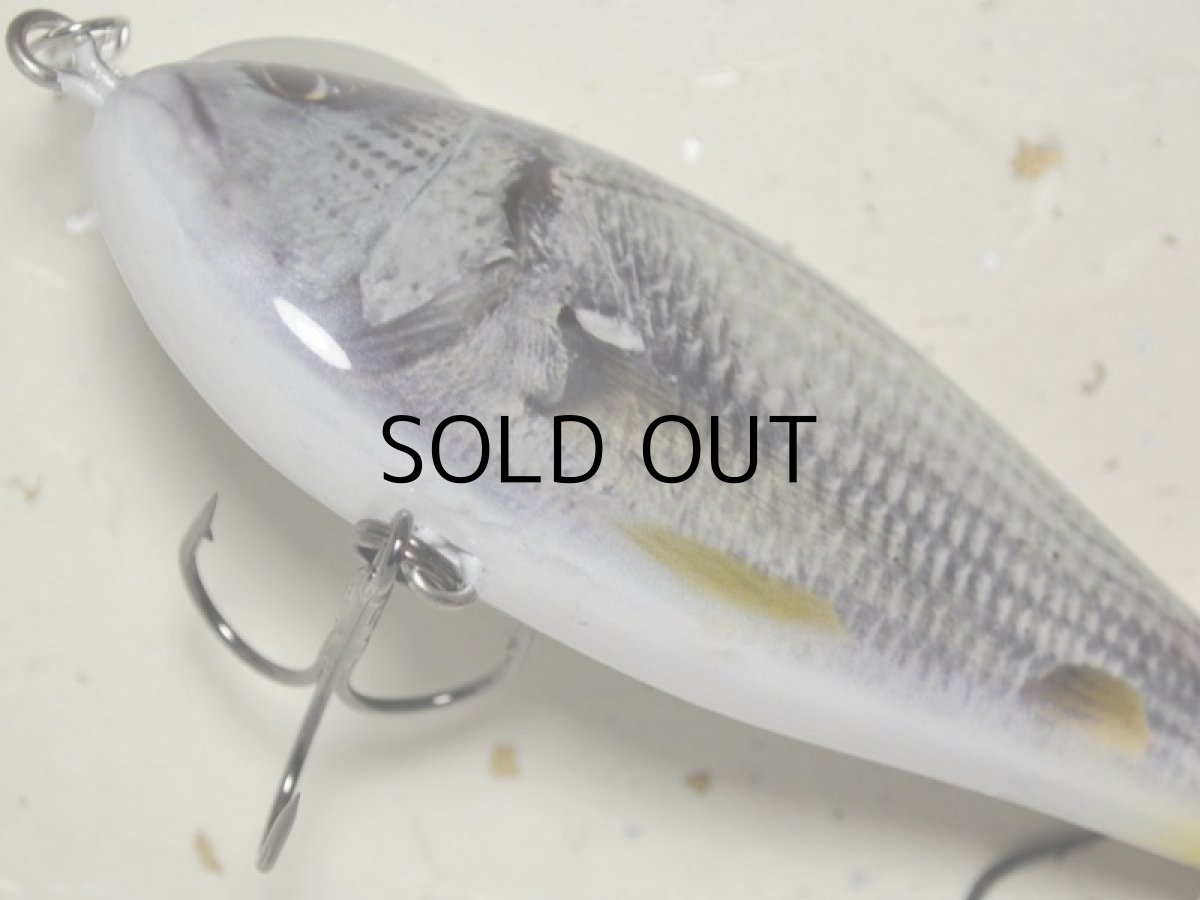 画像3: コーモラン ビバ マッジー スライドボマー:#250N LIVEキビレ■ネコポス対象外■ (3)