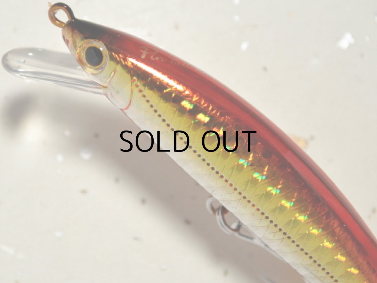 画像2: ジャクソン ピンテールチューン27：WRD ダブルアカキン【ネコポス配送可】 (2)