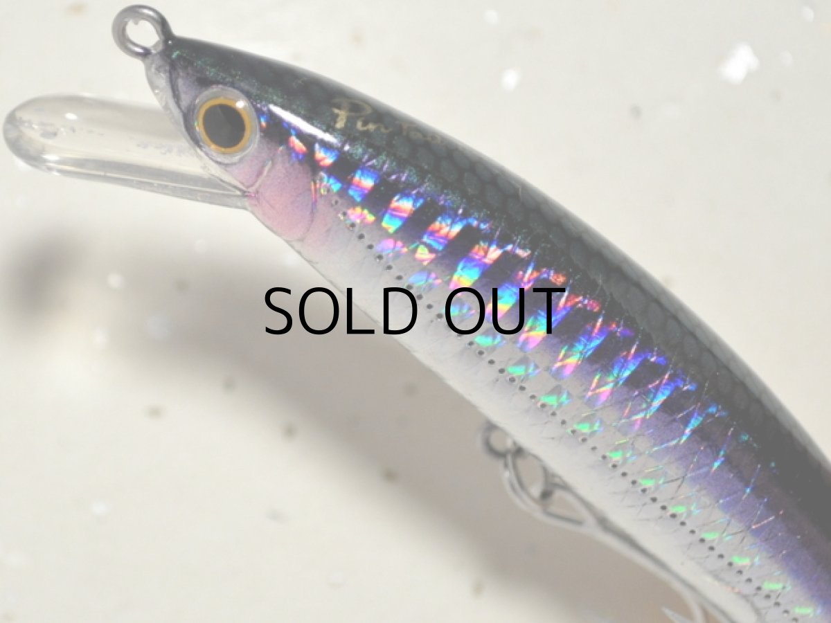 画像2: ジャクソン ピンテールチューン27：FNK フィニッシュカタクチ【ネコポス配送可】 (2)