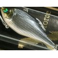 【SALE】メガバス バイブレーションX SW：M SEGURO IWASHI SD【BY-J】■ネコポス対象外■