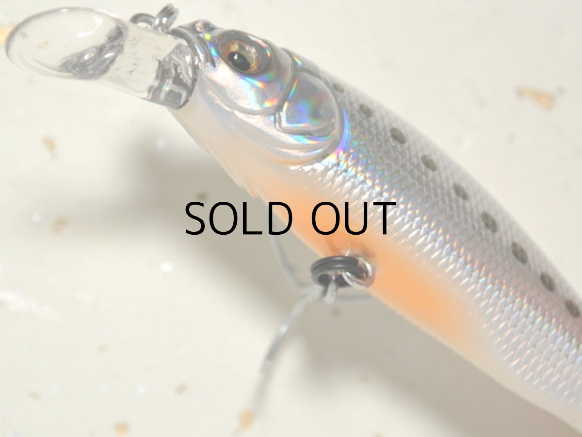 画像3: メガバス X-80SW：SINGETSU IWASHI【ネコポス配送可】 (3)