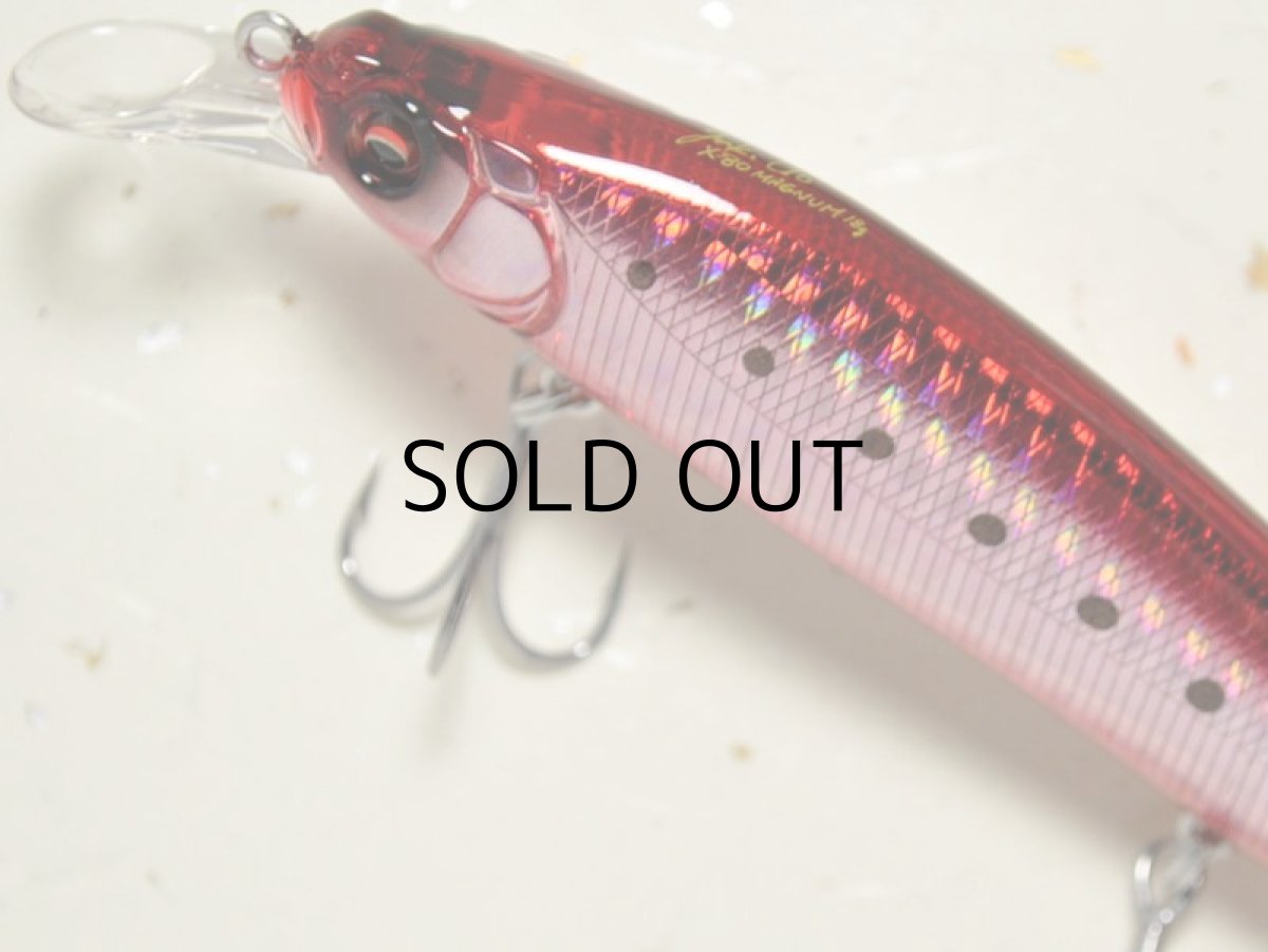 画像2: メガバス X-80マグナム：GG HEAT IWASHI【ネコポス配送可】 (2)