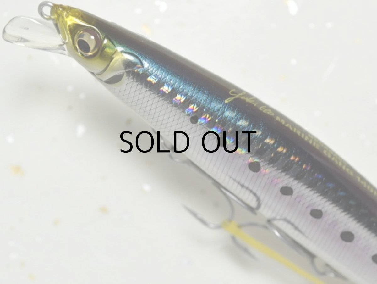 画像2: メガバス マリンギャング140F：GG IWASHI【ネコポス配送可】 (2)