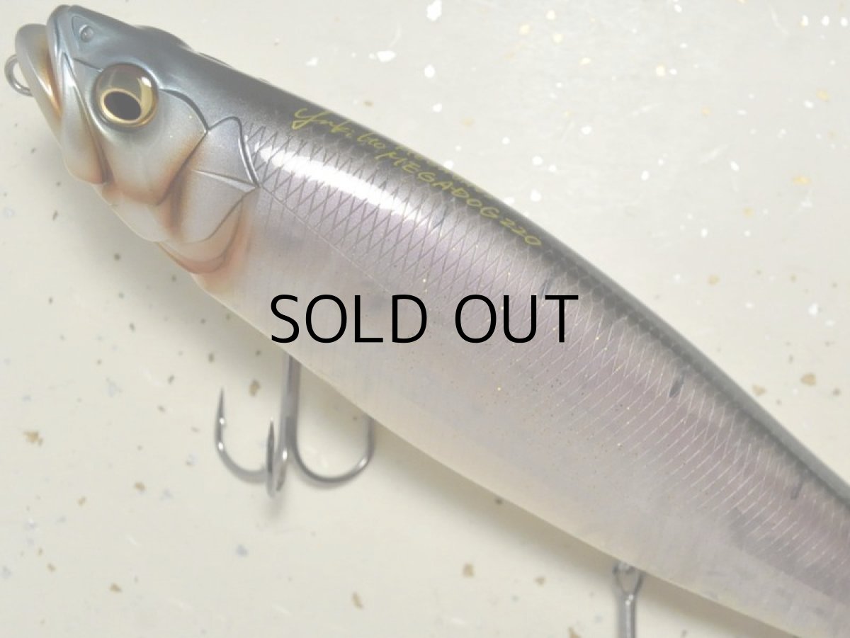 画像2: 【SALE】メガバス メガドッグ：SHINTARO NATURAL■ネコポス対象外■ (2)