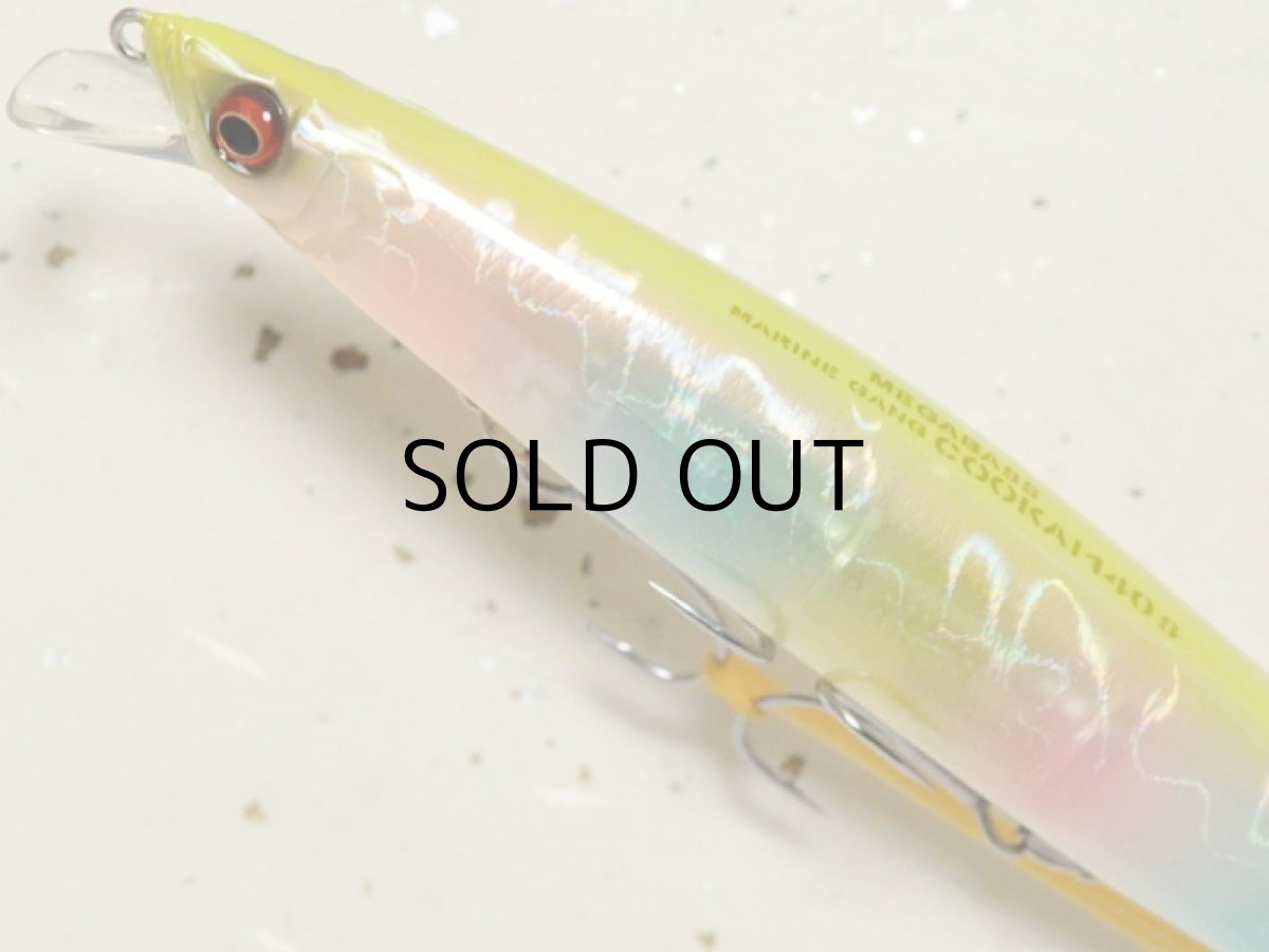 画像2: メガバス マリンギャング空海140F：09 SHELL SKIN CHART BACK RAINBOW【ネコポス配送可】 (2)